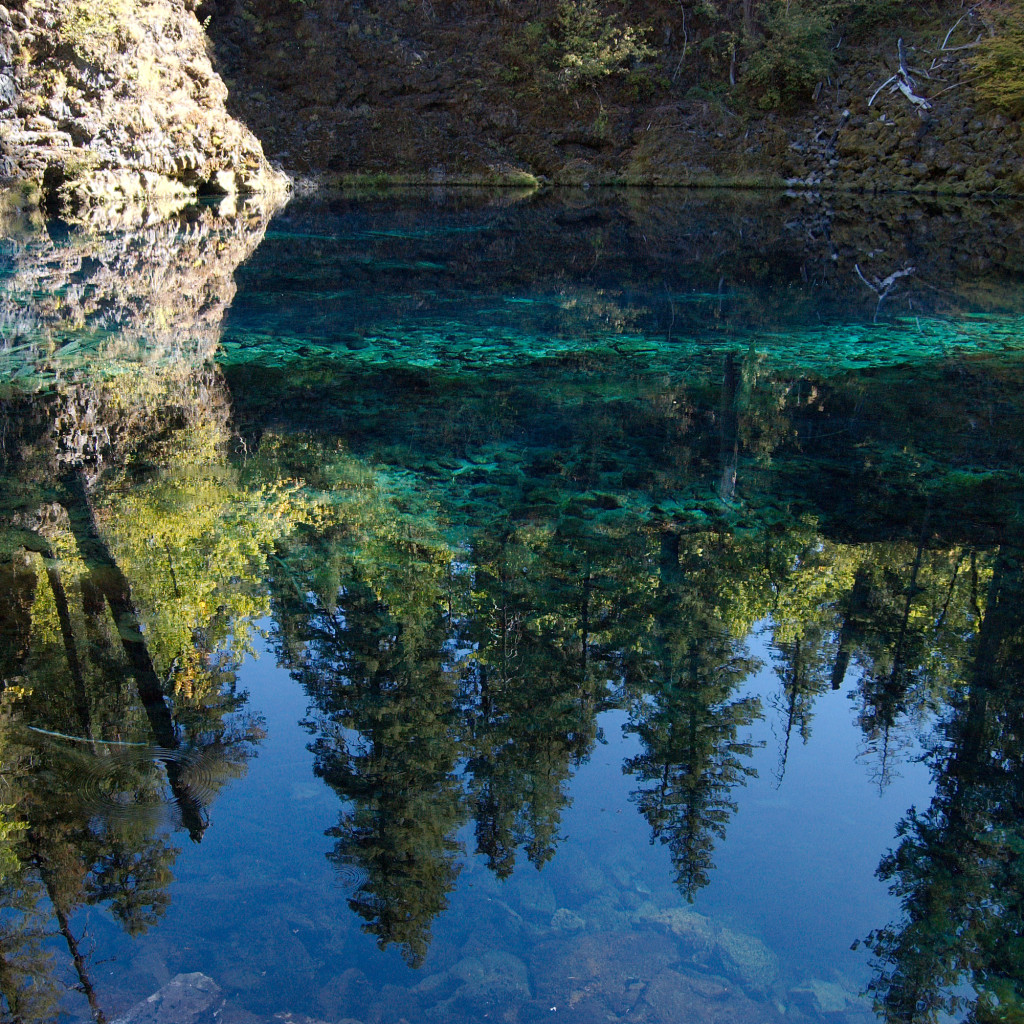 Tamolitch Falls (aka Blue Pool) is along the McKenzie River Trail. Image credit: prw_silvan via Flickr