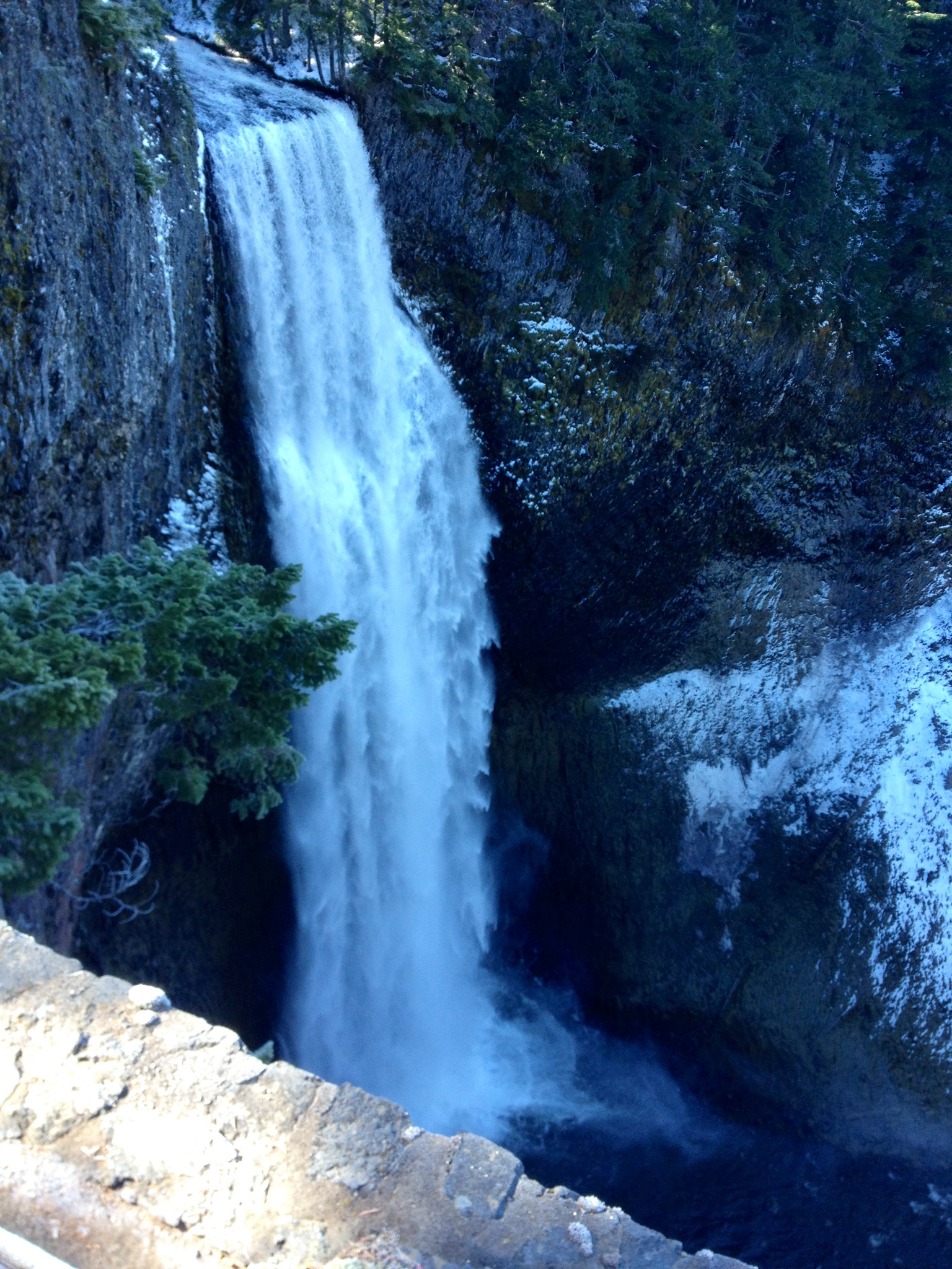 Snowshoeing Eugene, Cascades & Oregon Coast