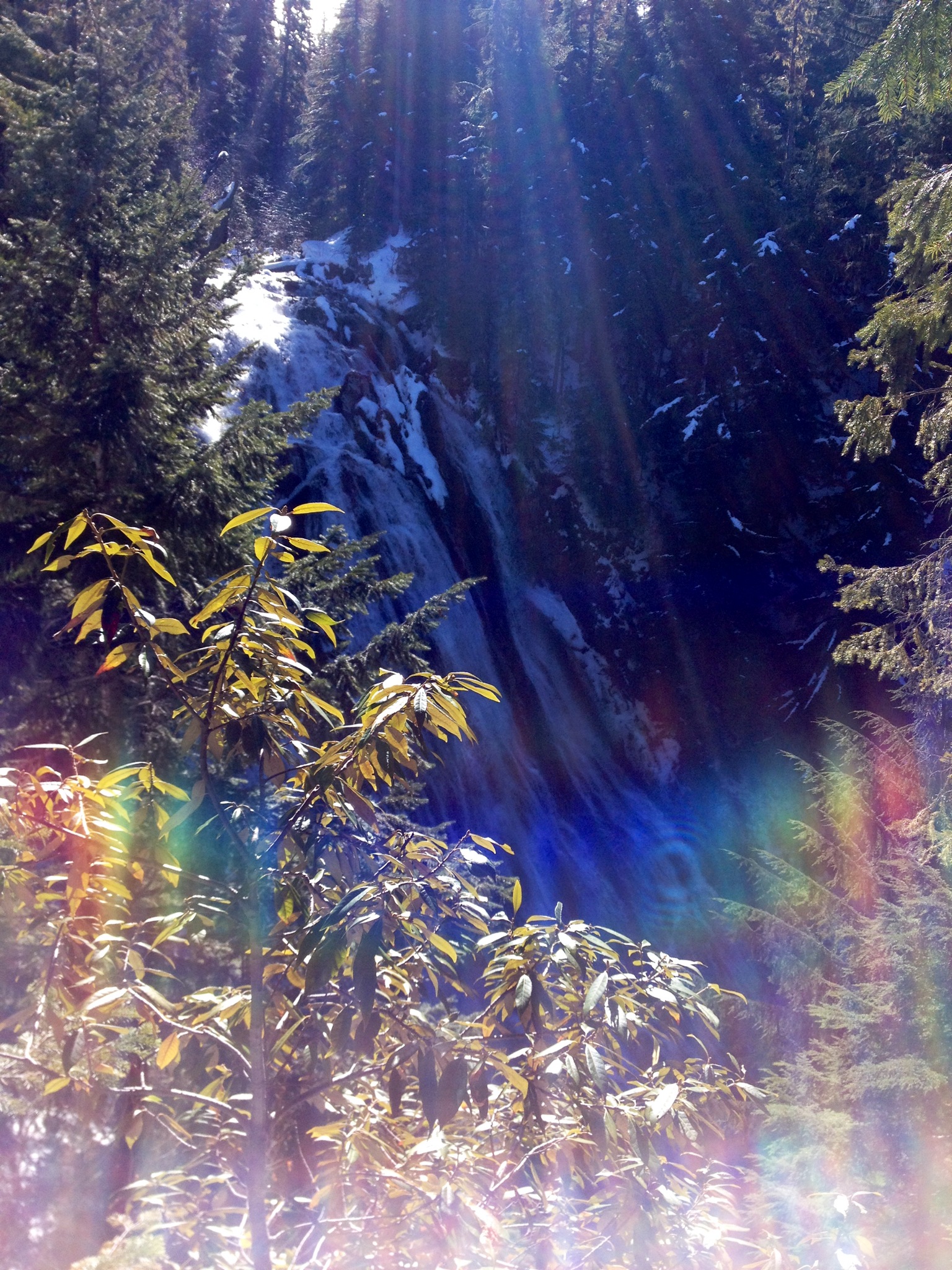 Snowshoeing Eugene, Cascades & Oregon Coast