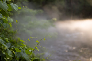 Fog at Belknap