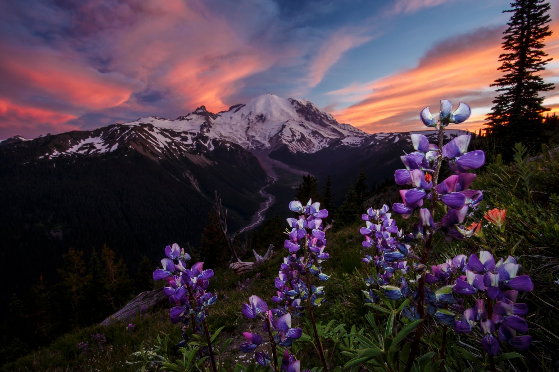 Video Thumbnail - youtube - People of Rainier 'Meaning of The Mountain'