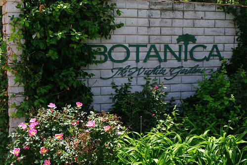 Botanica