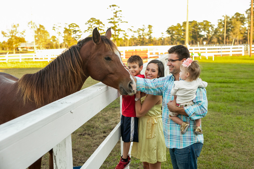 Tyrrell Park Stables