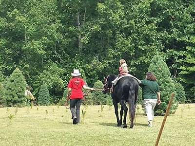 Enjoy a Pony Ride.