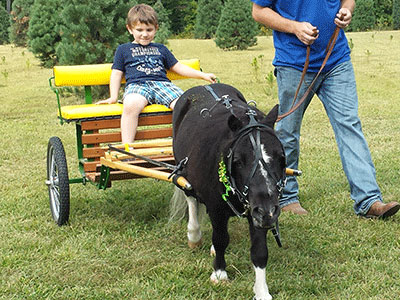 Ever been on a Pony Cart?