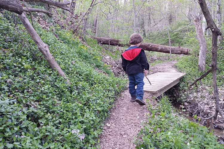 Love these little bridges on the trail!