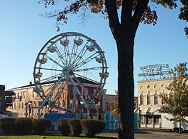 Fall Foliage Fest