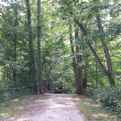 Burkhart Woods Trail