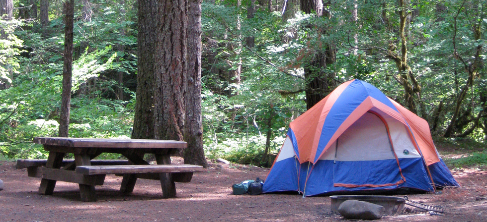 Campgrounds Rv Parks Eugene Cascades Oregon Coast