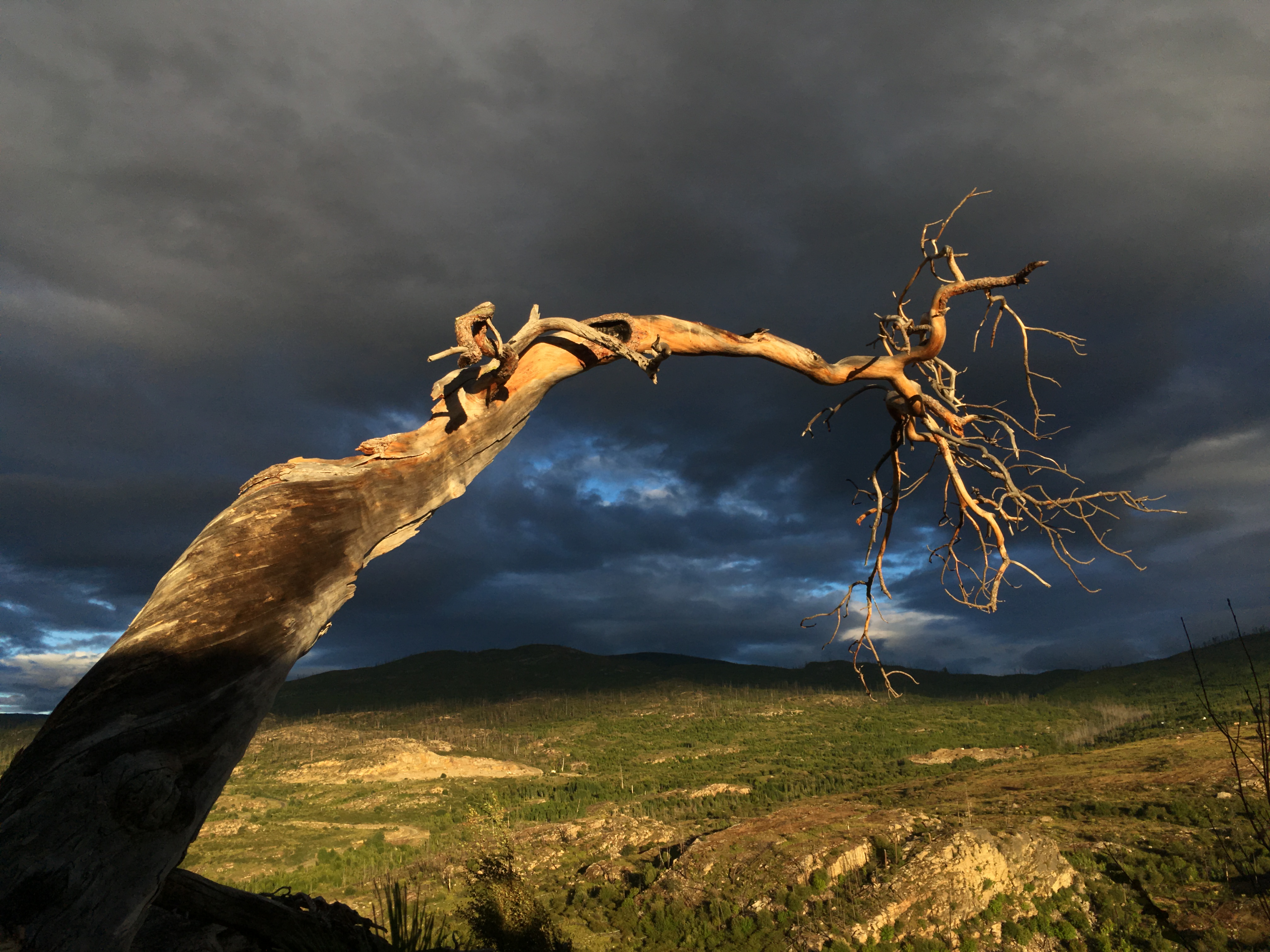 Stunning View of The Okanagan Valley