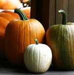 Pumpkins Pumpkins