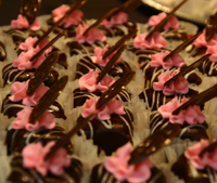 Art of Chocolate Art of Chocolate