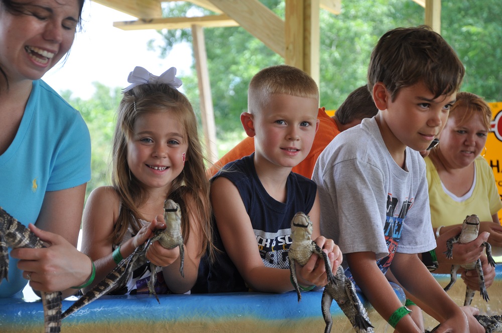 Tours - Hold a baby gator at the touch pool at Insta-Gator Ranch & Hatchery