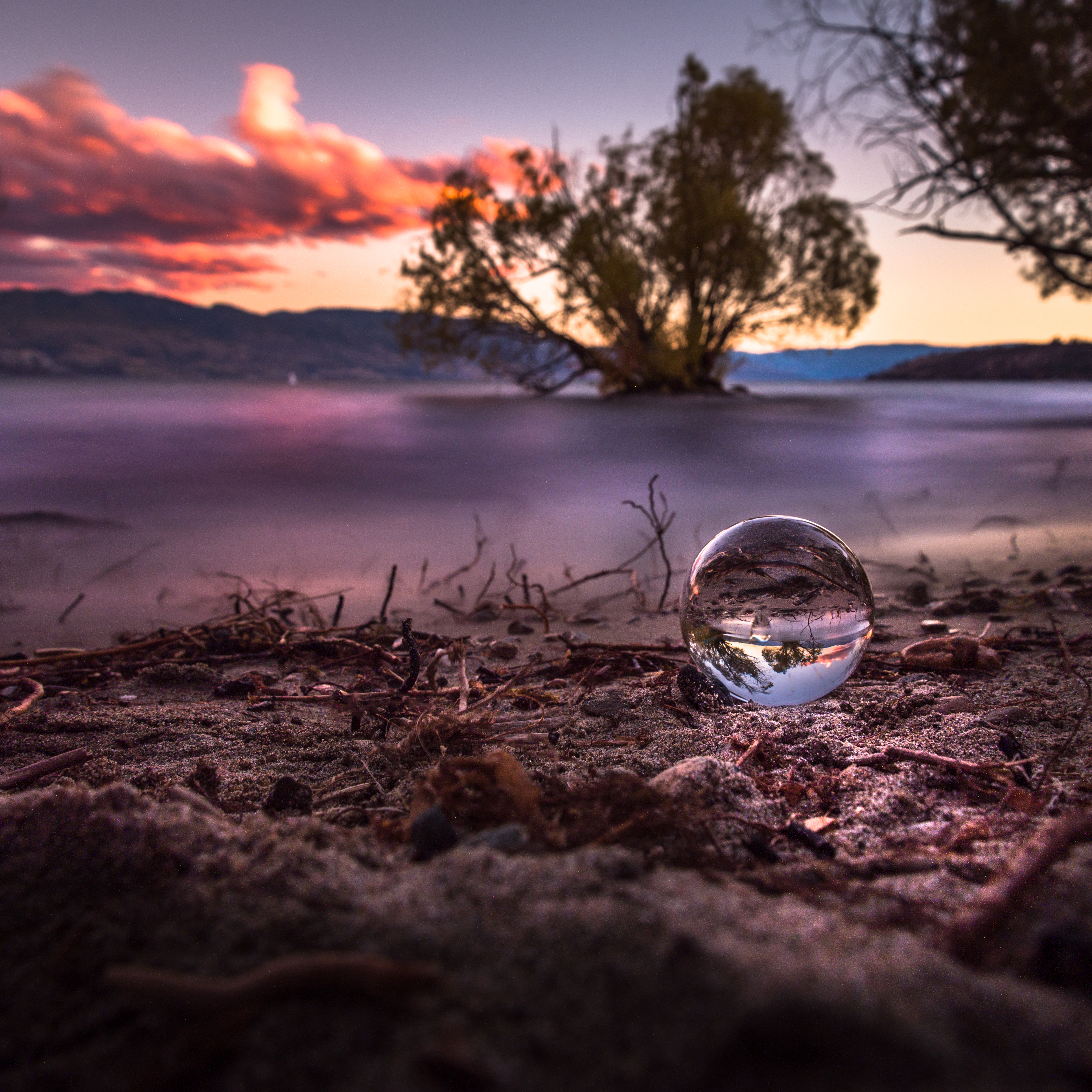 Maude Roxby Bird Sanctuary Orb