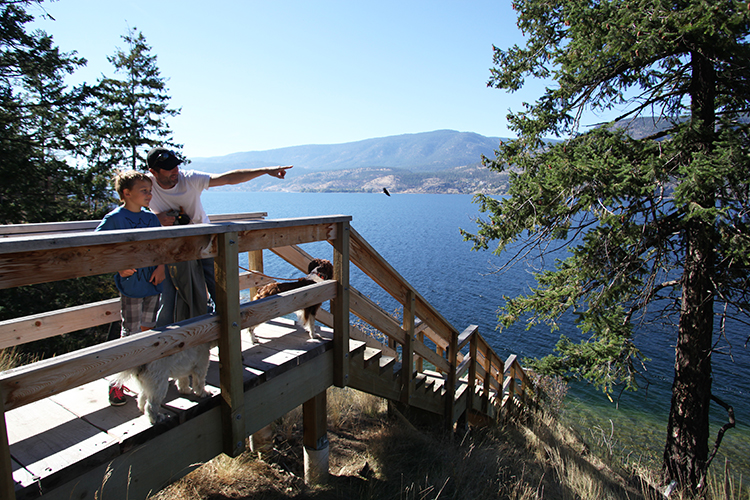 Lochview Lookout