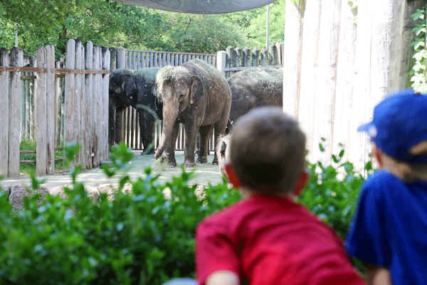 Blog: Top Outdoor Film Locations