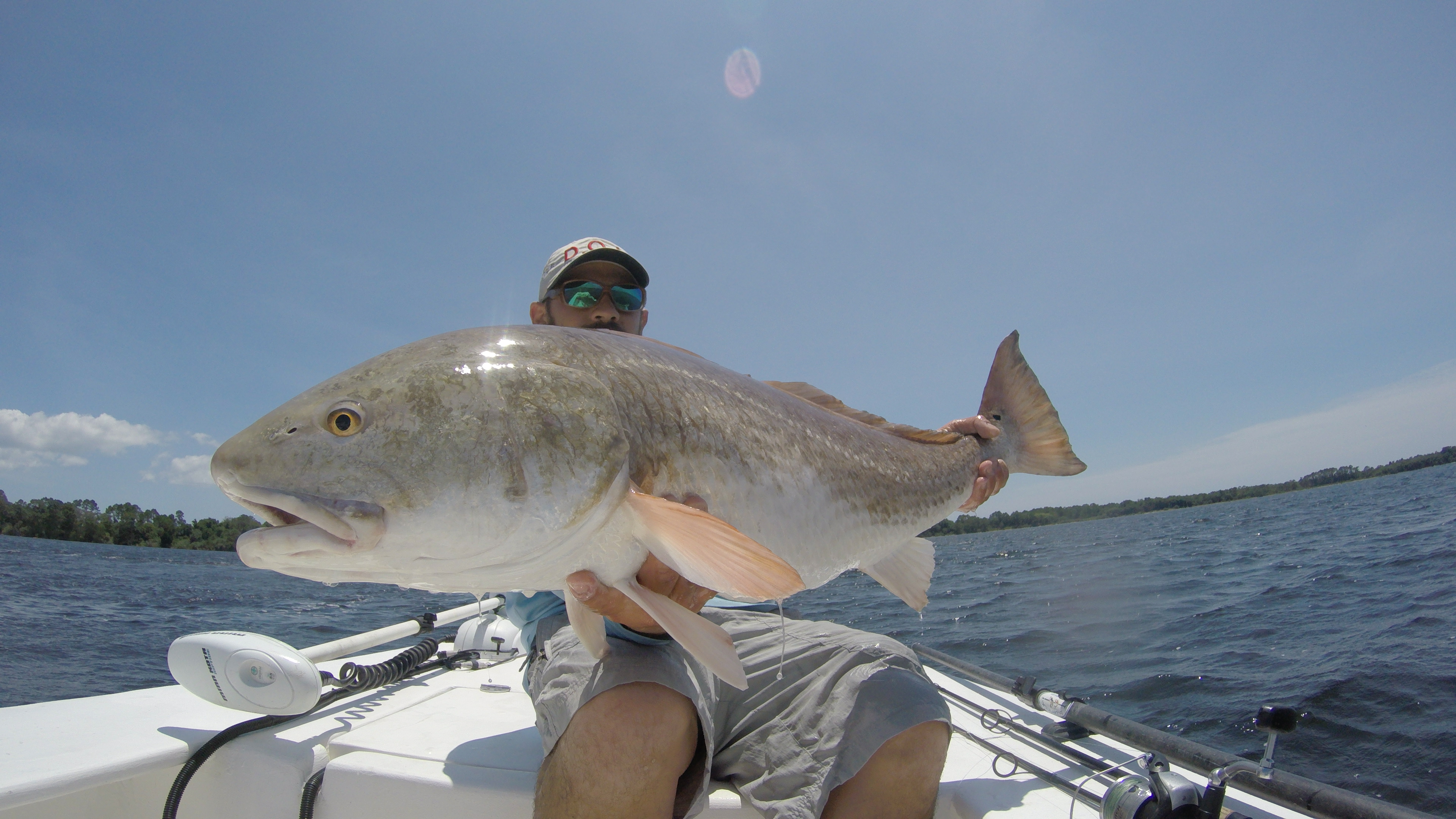 Bull Redfish