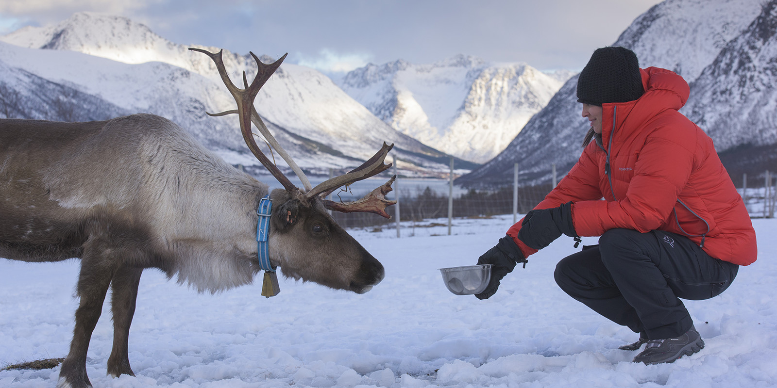 Impressionen Eines Arktischen Winters Visit Norway