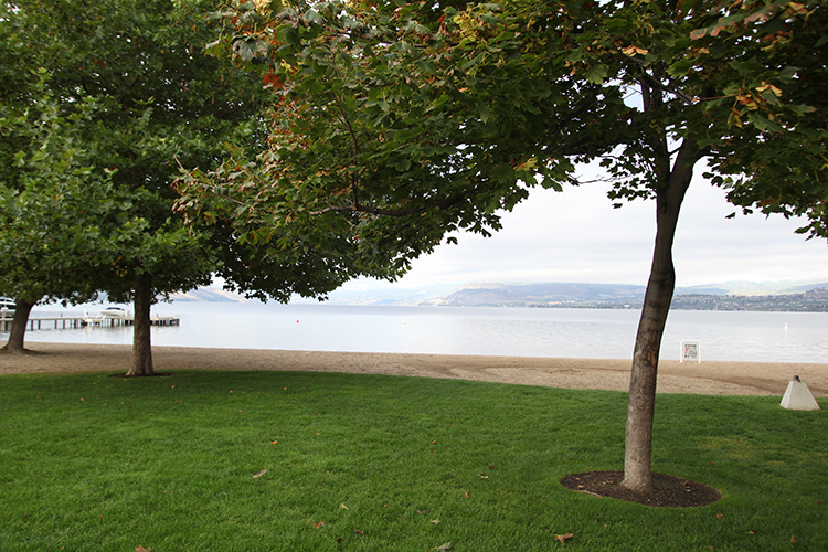 Sarson Beach Park