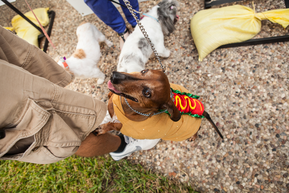 Dogtober Fest in Beaumont, Texas