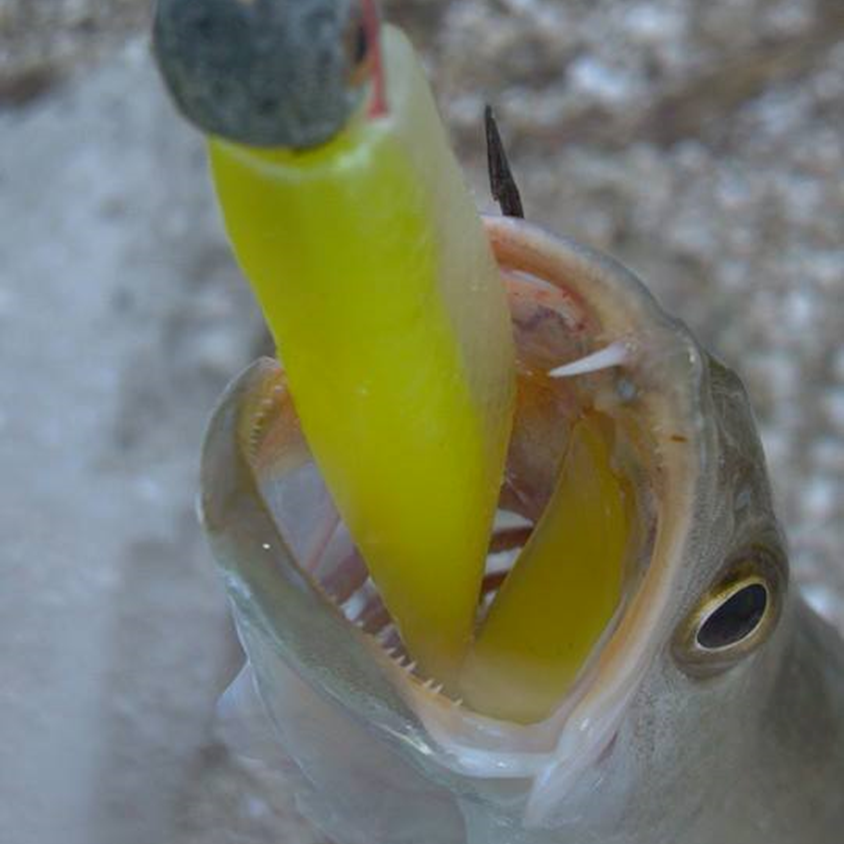 Slidell Bridges Getting Hot - Matrix Shad