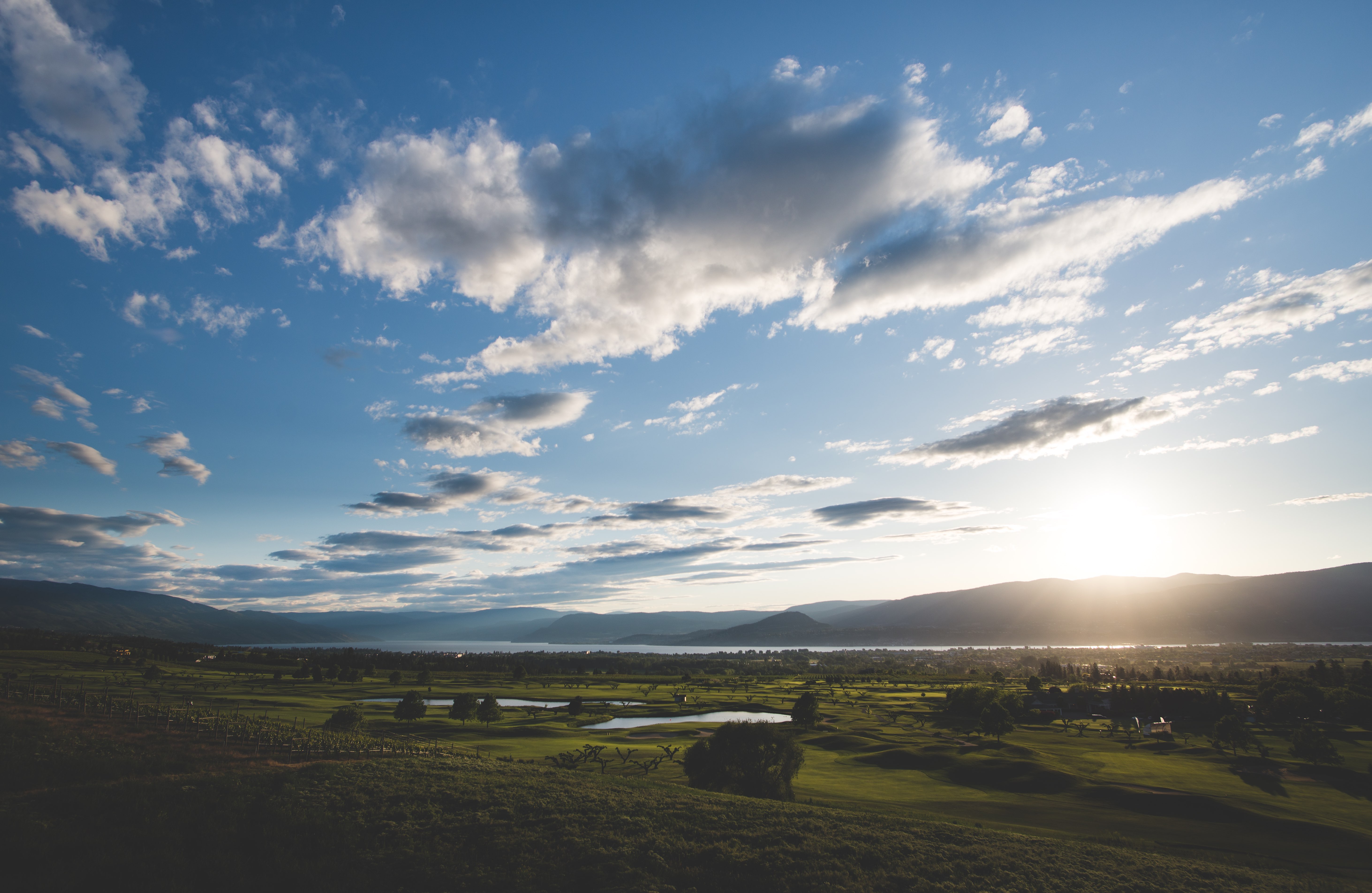 The Harvest Golf Club