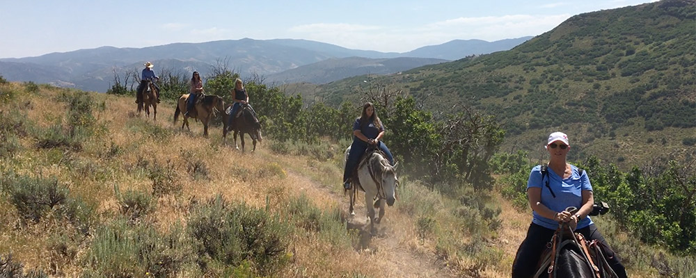 blue sky horse riding