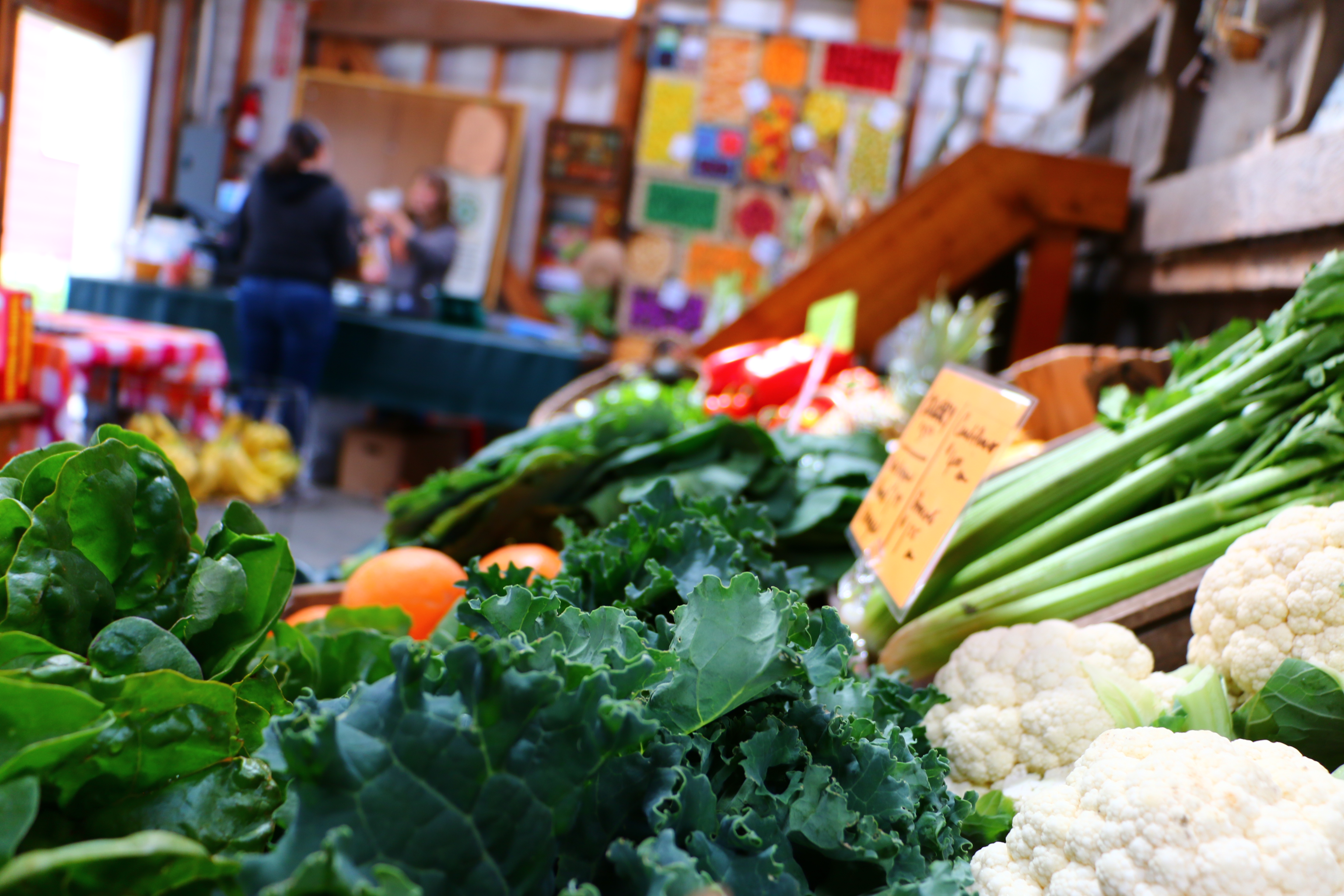 Produce for sale at Wild Hare Farm