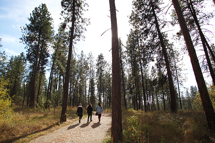 Eagle View & Quail Flume Trail