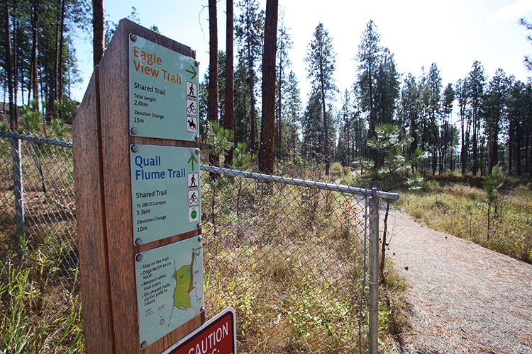 Eagle View & Quail Flume Trail