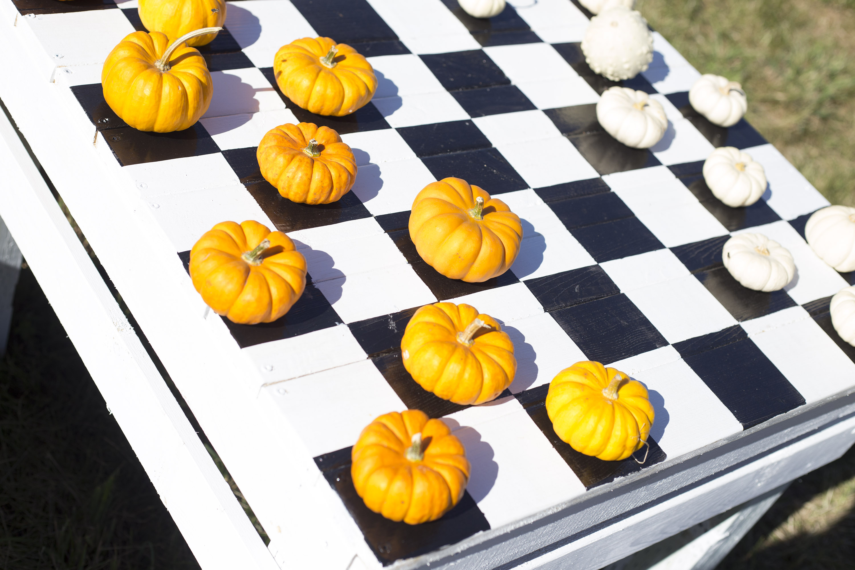 Pumpkin Checkers at McMillan Farms