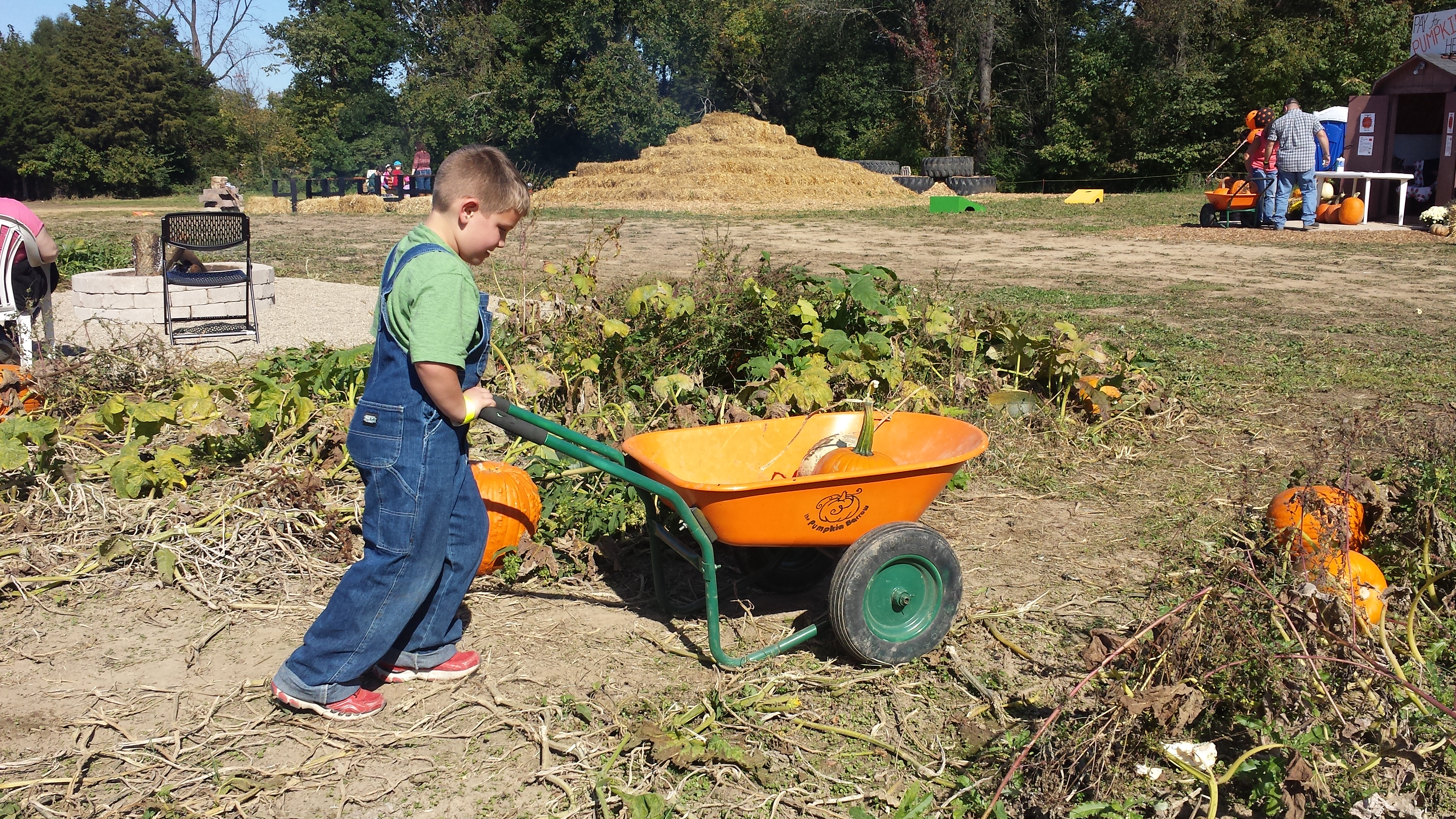 Pumpkin Barrow at Greendell Landscape Solutions