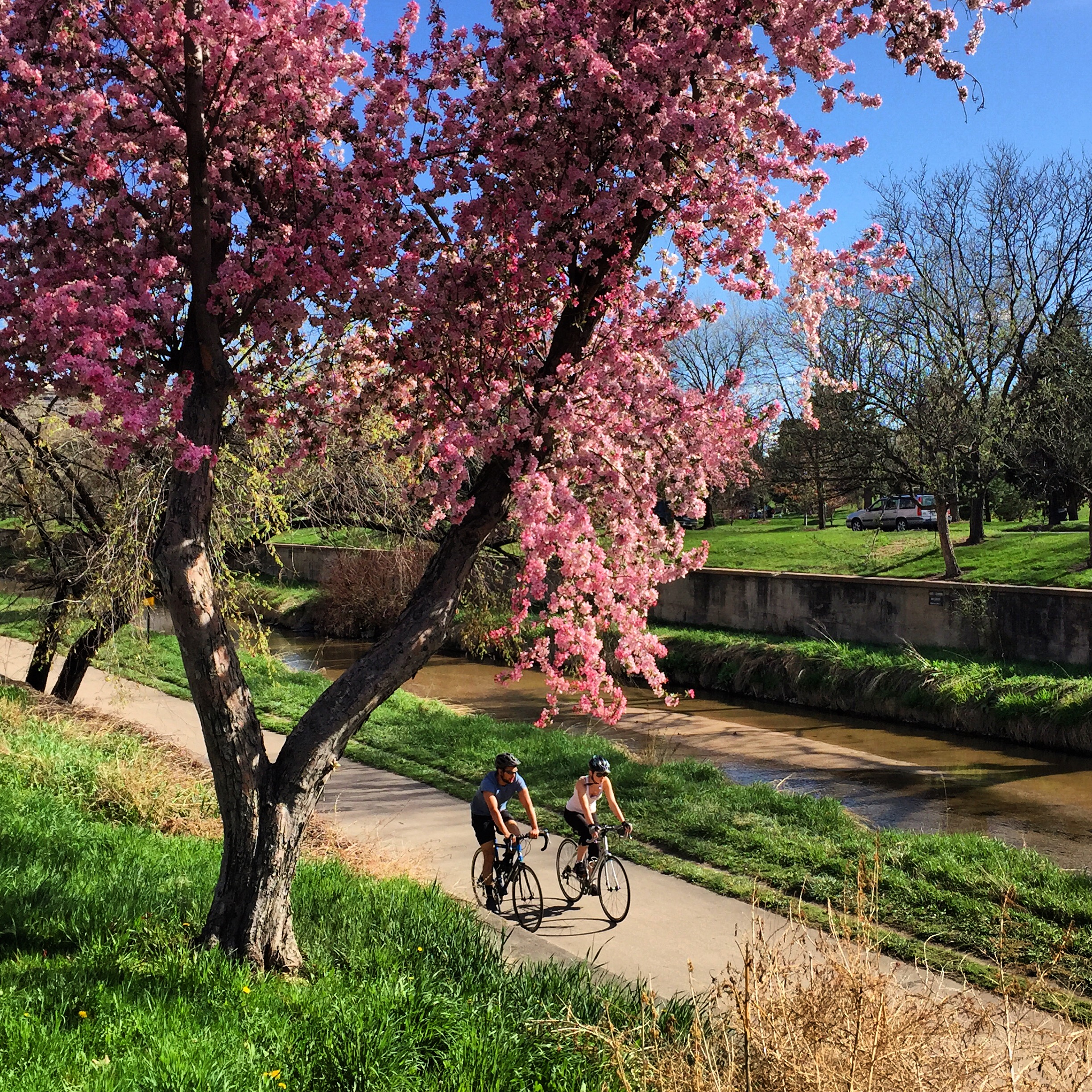 cherry creek bike trail