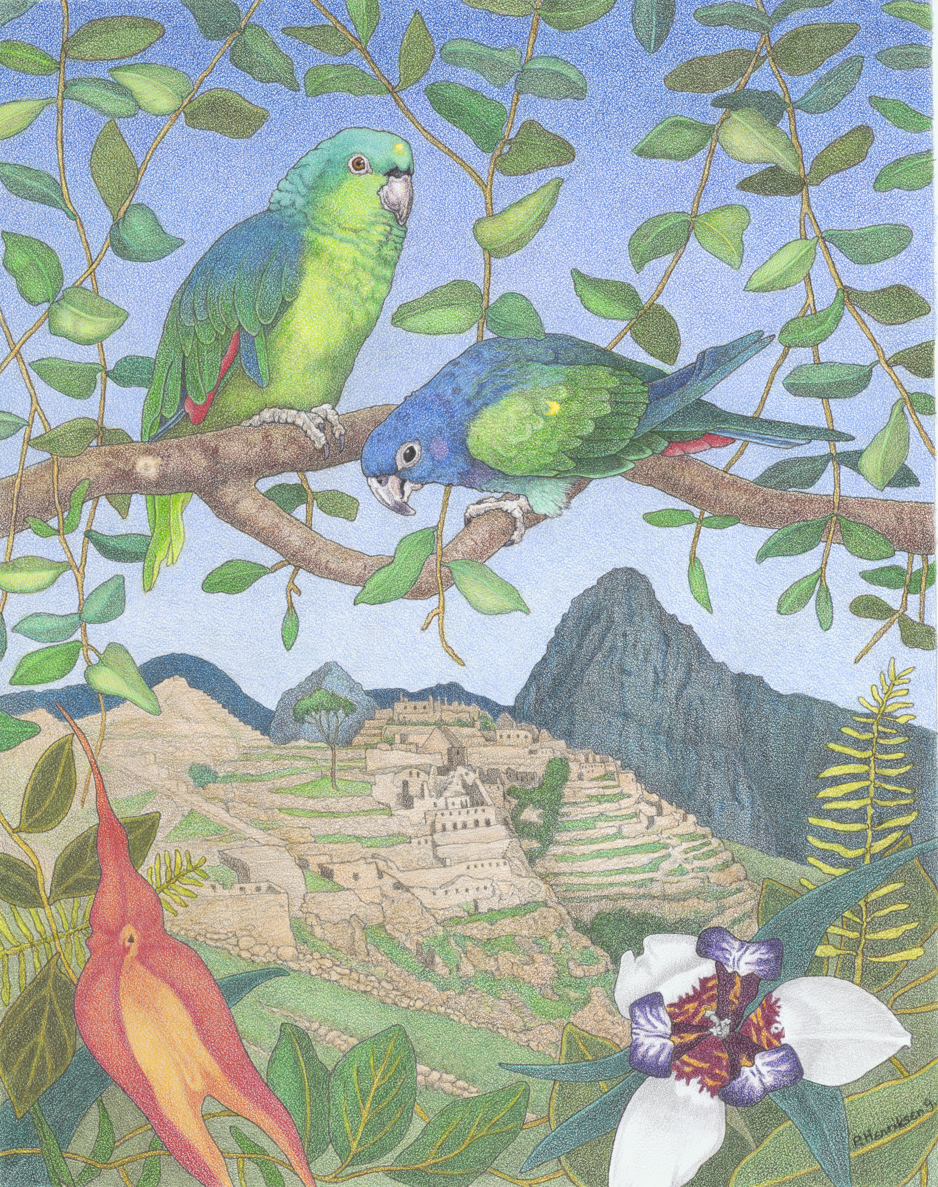 Remembering Machu Picchu