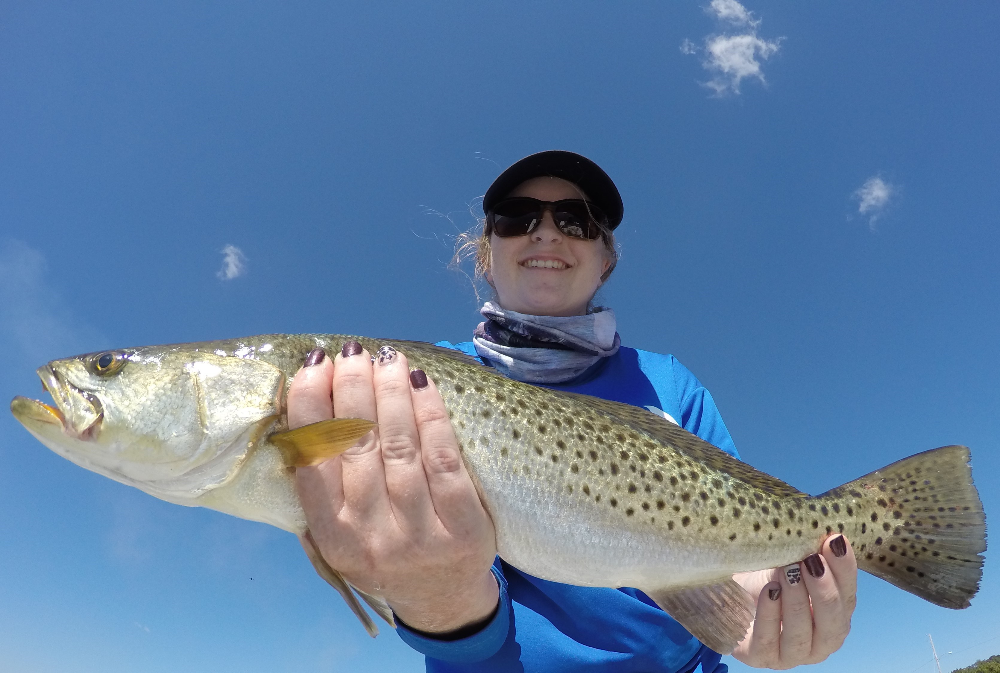 Speckled Trout