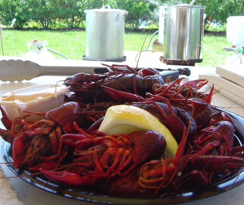 Cajun Festival 2006 crawfish