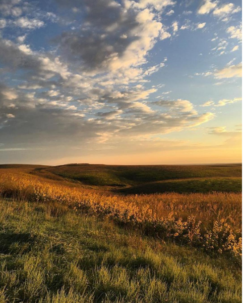 Instagram Fan Photo October