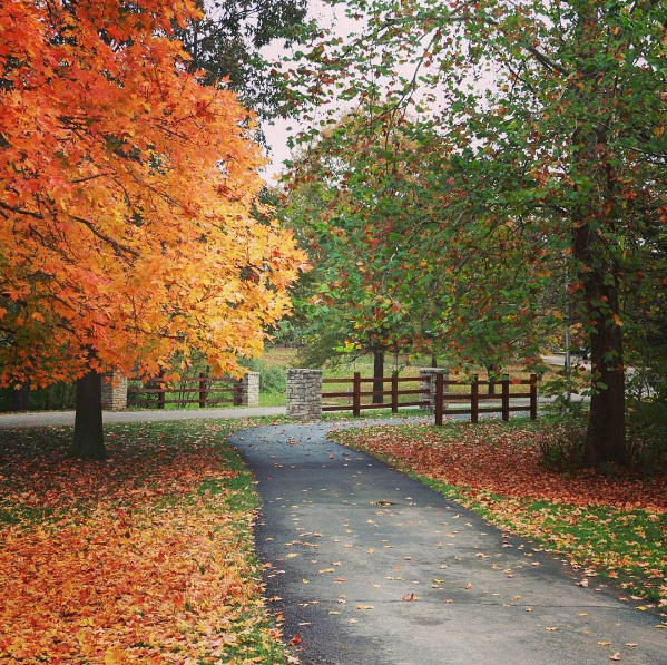 Instagram Fan Photo October