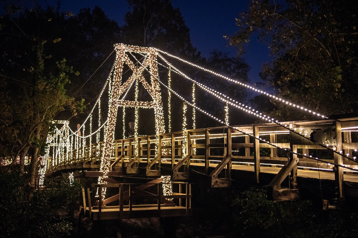 Bayou Bend