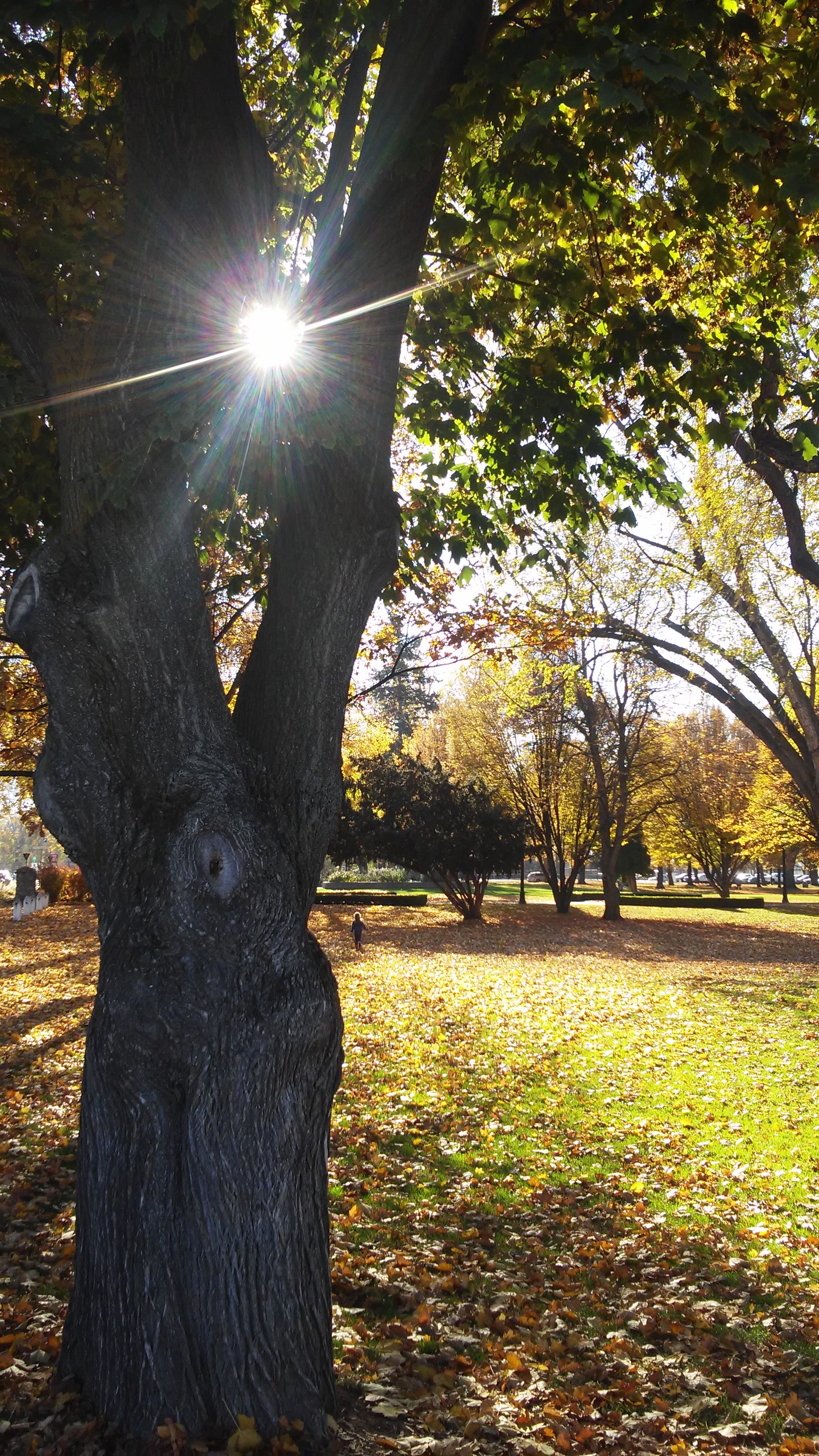 November at the Beach