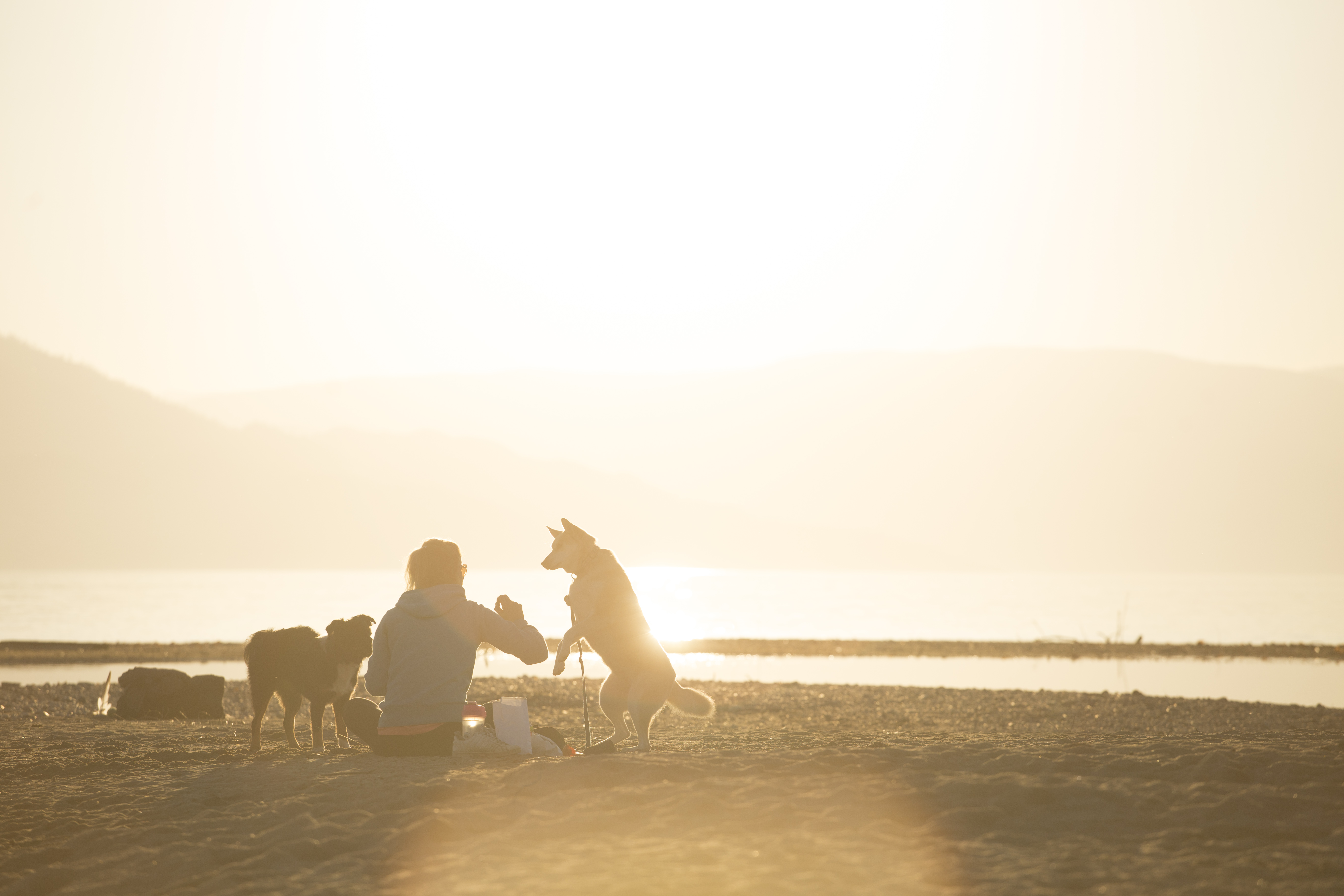 November at the Beach