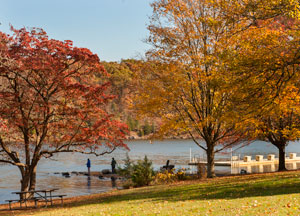 Green Lane Park