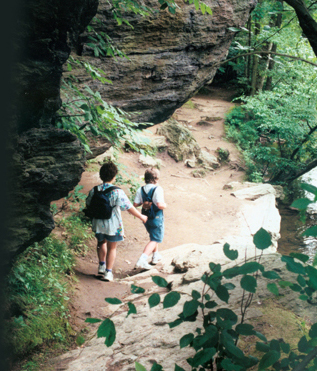 Gather your fellow detectives and head to Lorimer Park! Gather your fellow detectives and head to Lorimer Park!