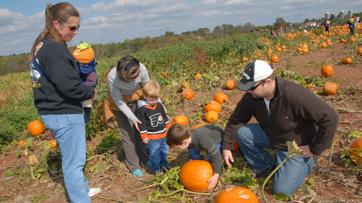 Pumpkins, piglet races, giant slides and pony rides at Freddy Hill Farms