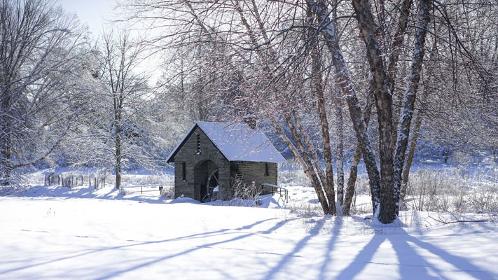 The Jewish New Year of Trees celebrations continues at Morris Arboretum through January 31.