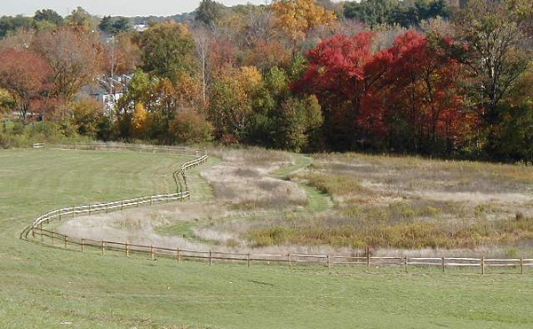 The Norristown Farm Park is alive with color.