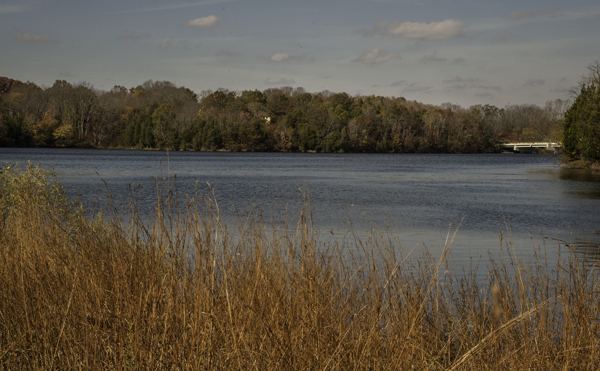 Green Lane Park shows its colors during the Fall Foliage Hike on Sunday.