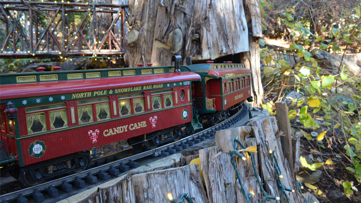 The Morris Arboretum Garden Railway rides along stainless steel tracks.