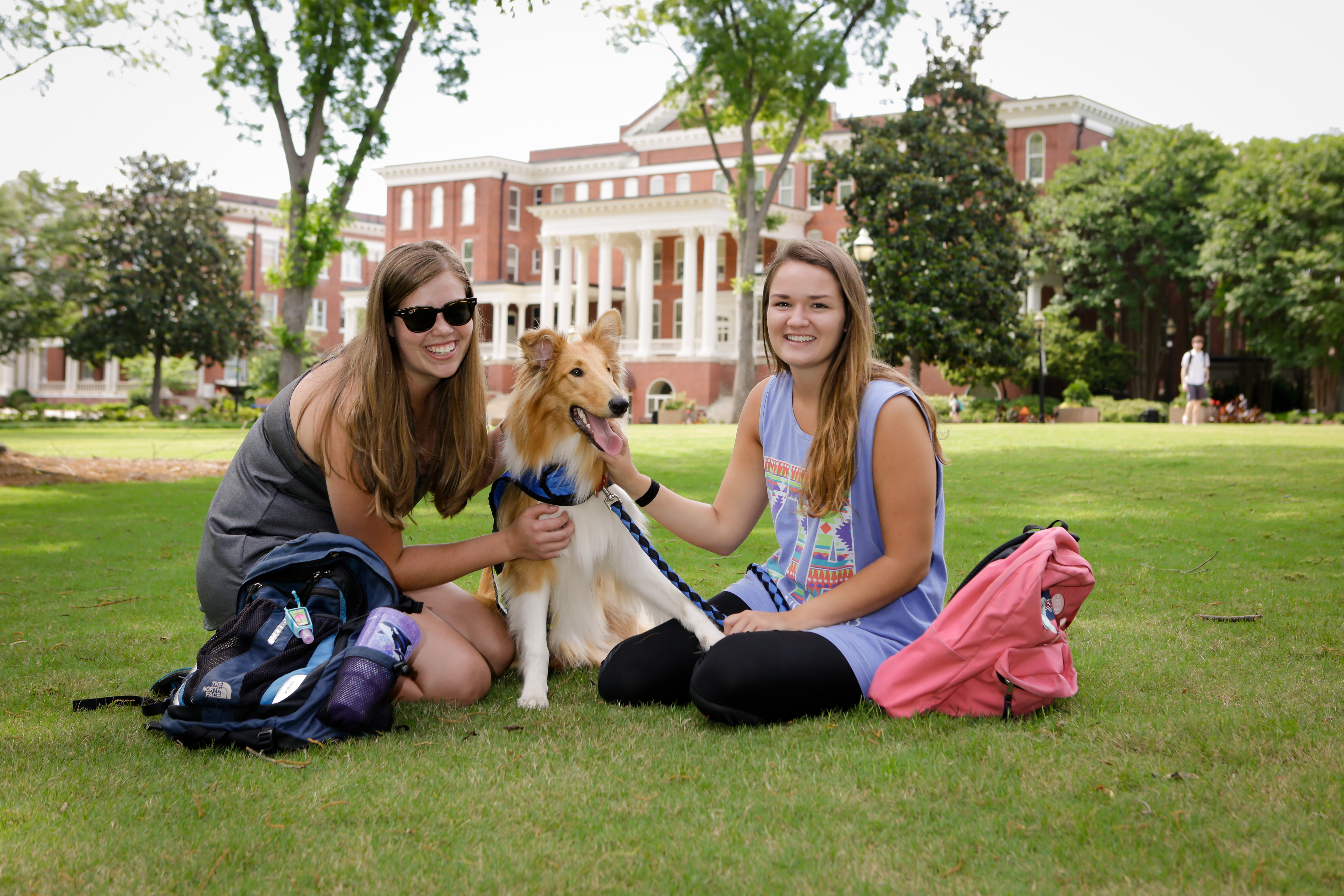 Jackson at Georgia College