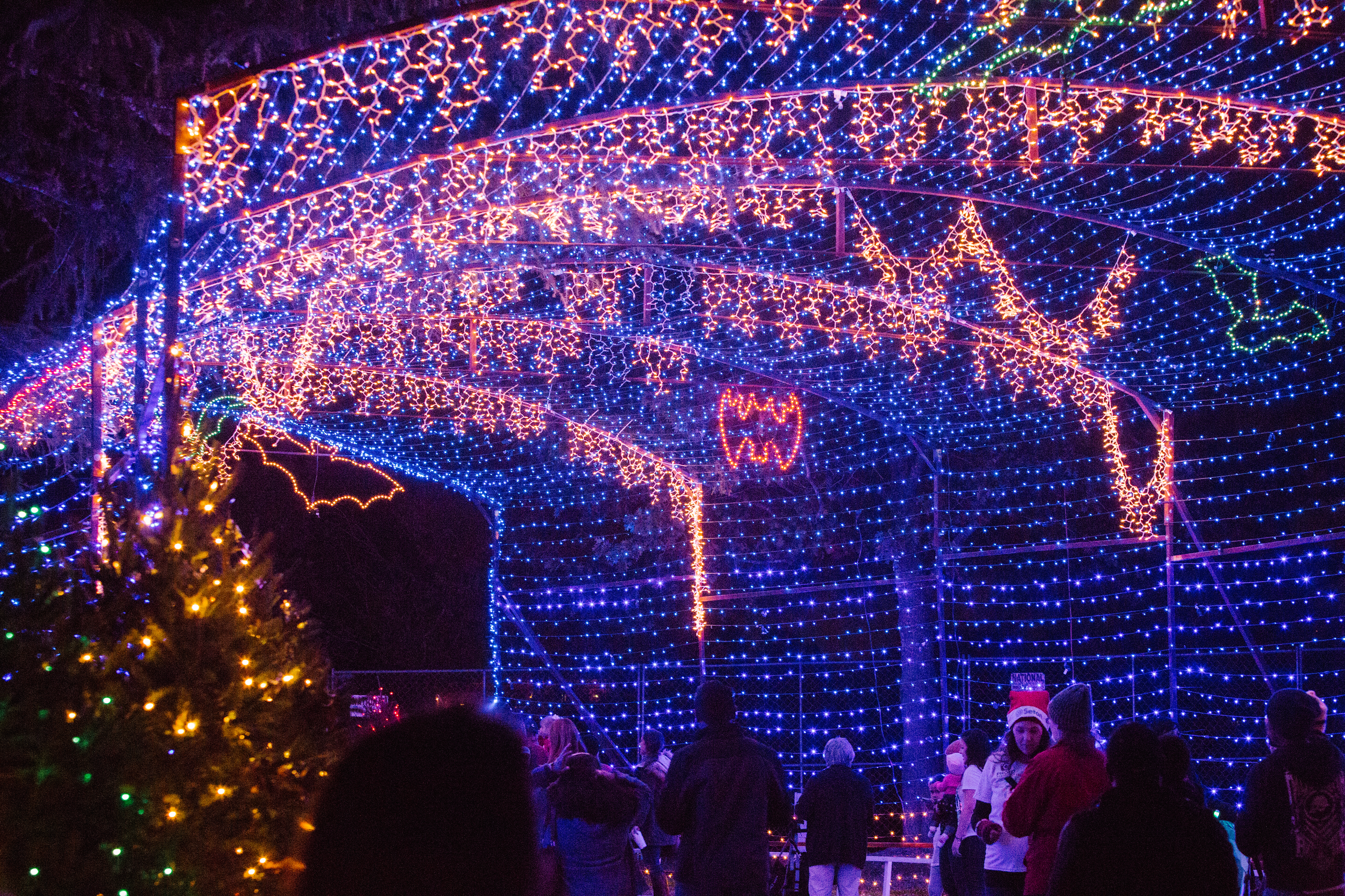 Austin Trail of Lights